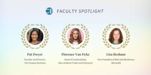 Faculty spotlight Pat Dwyer, Florence Van Dyke and Lisa Reshaur